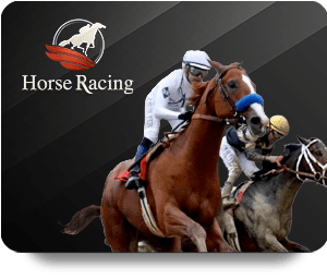 Get Ready for KUWIN Live Dealer Hot Thrilling Action